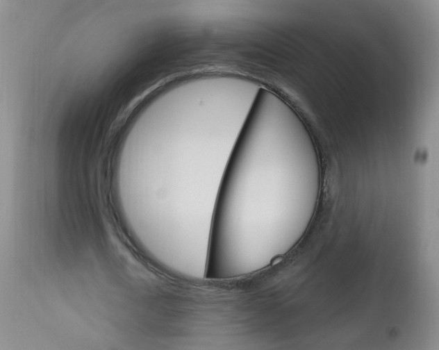 X0000113130722200909040932