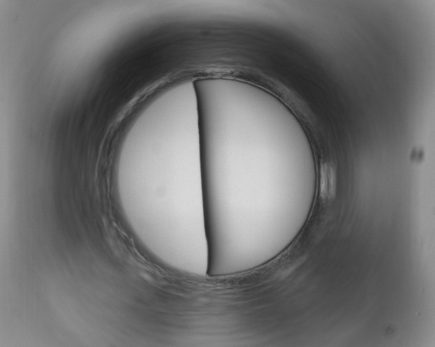 X0000113130723200909040932