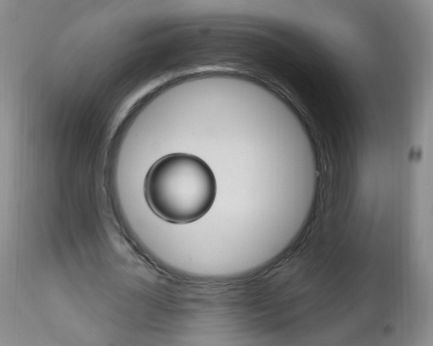 X0000113130724200909040932