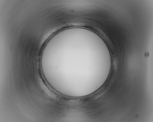 X0000113130725200909040932