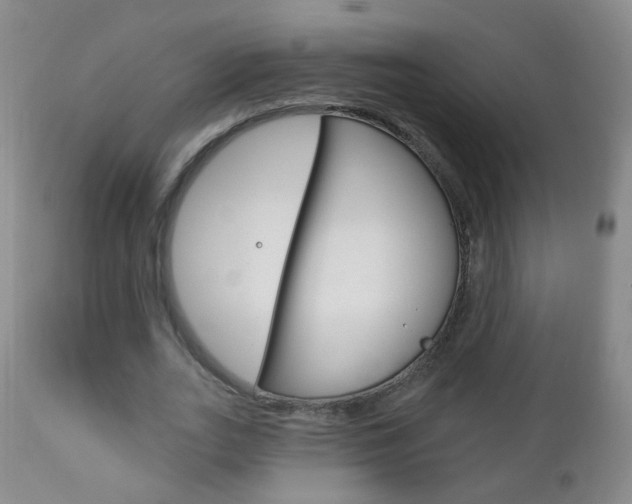 X0000113130727200909040932