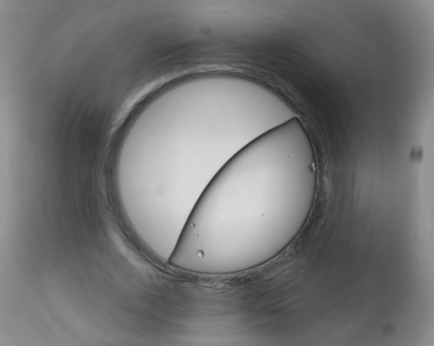 X0000113130728200909040932