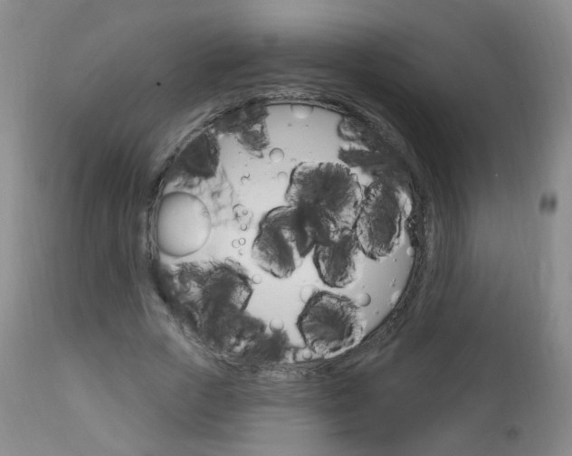 X0000113130729200909040932