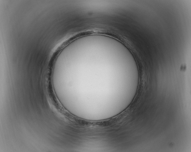 X0000113130730200909040932