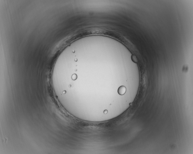 X0000113130733200909040932