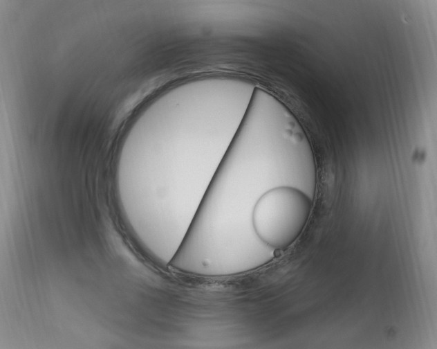X0000113130734200909040932