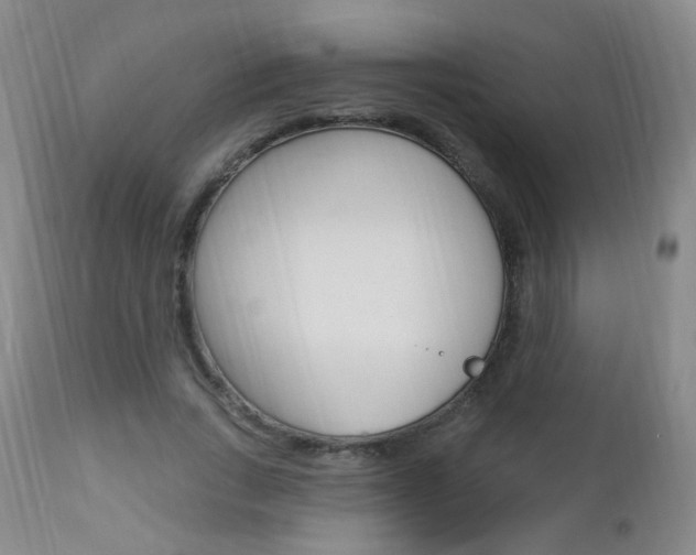 X0000113130735200909040932