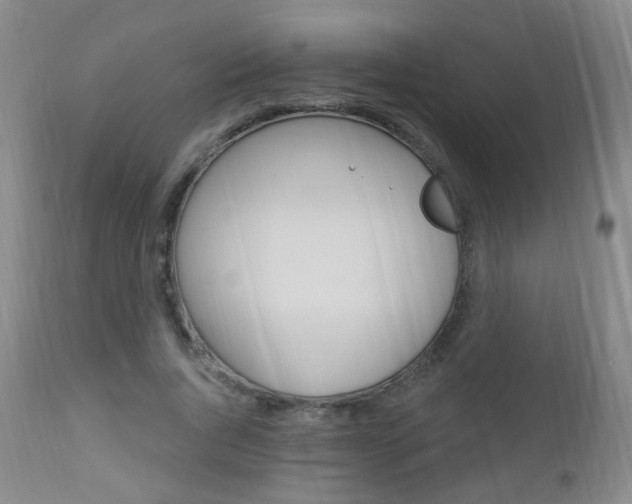X0000113130736200909040932