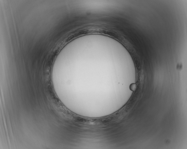 X0000113130737200909040932