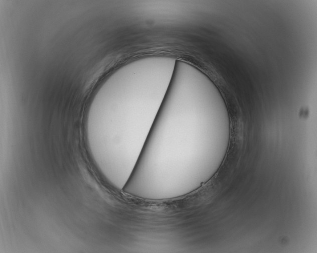 X0000113130738200909040932