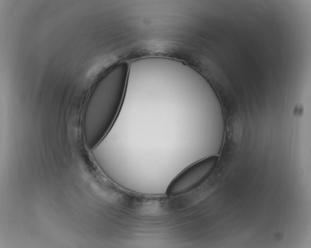 X0000113130740200909040932