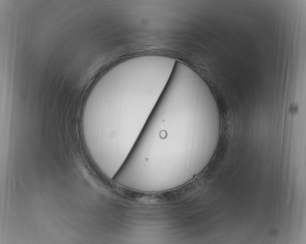 X0000113130742200909040932