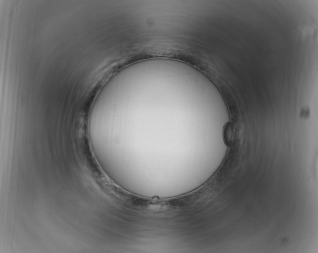 X0000113130744200909040932