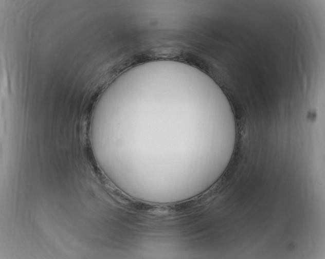 X0000113130745200909040932