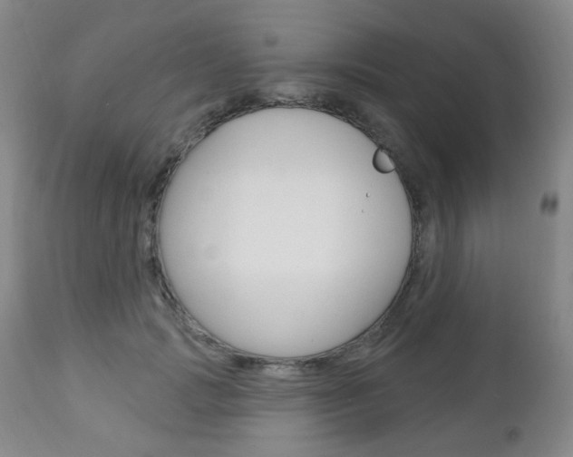 X0000113130749200909040932