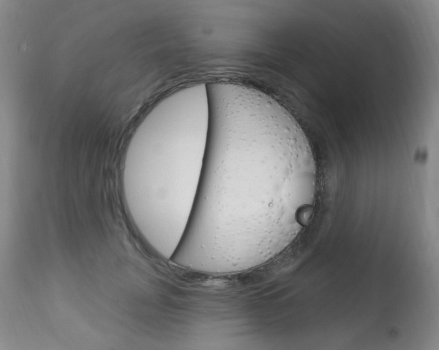 X0000113130751200909040932