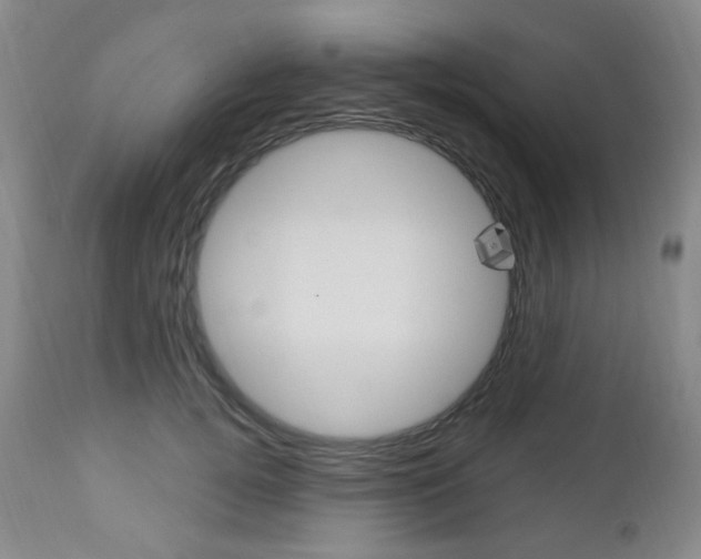 X0000113130752200909040933