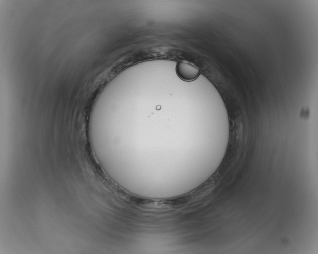 X0000113130754200909040933