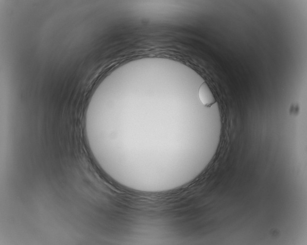 X0000113130756200909040933