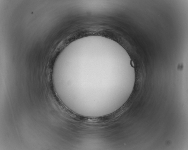 X0000113130758200909040933