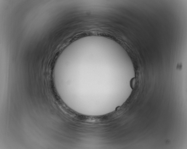 X0000113130760200909040933