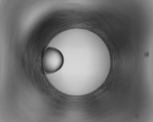 X0000113130762200909040933
