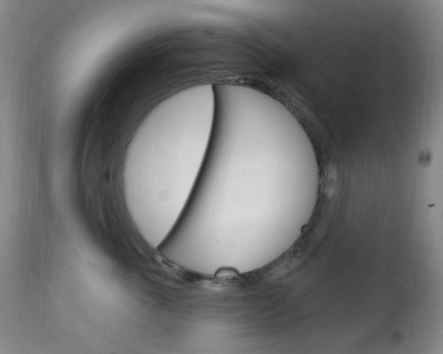 X0000113130763200909040933