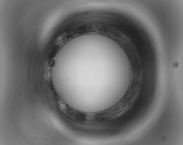 X0000113130766200909040933