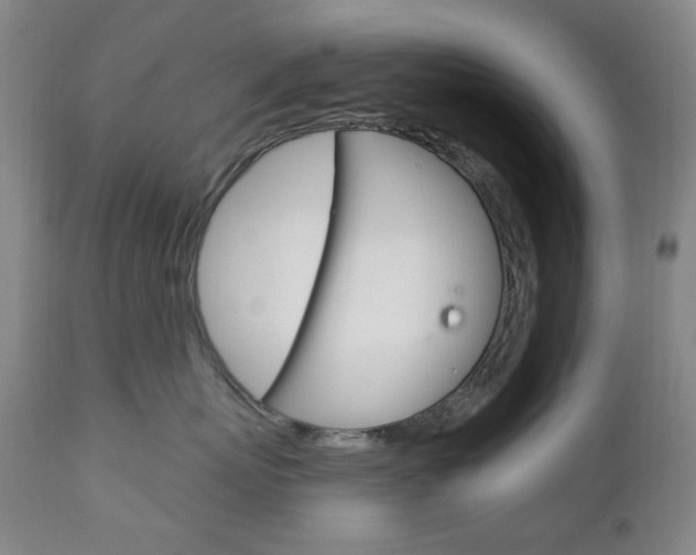 X0000113130767200909040933