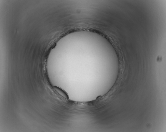 X0000113130768200909040933