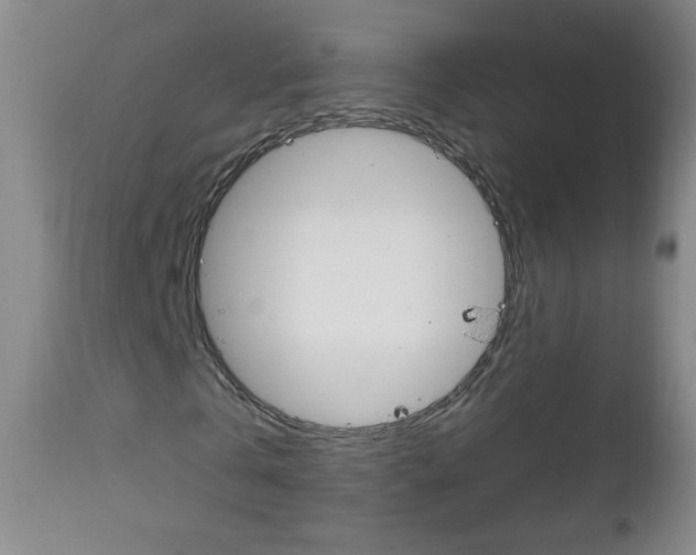 X0000113130769200909040932