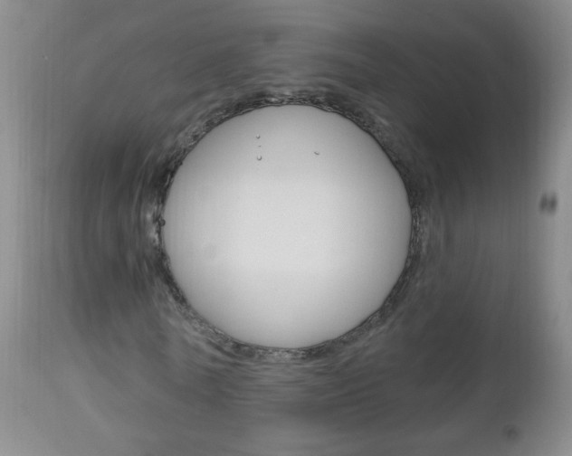 X0000113130770200909040932