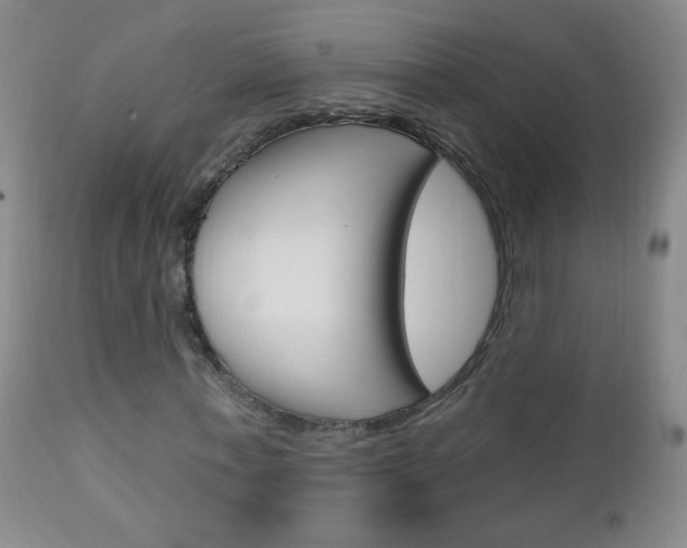 X0000113130771200909040932