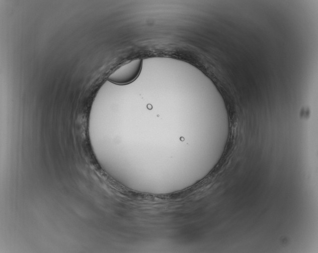 X0000113130772200909040932