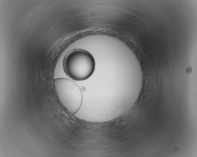 X0000113130773200909040932