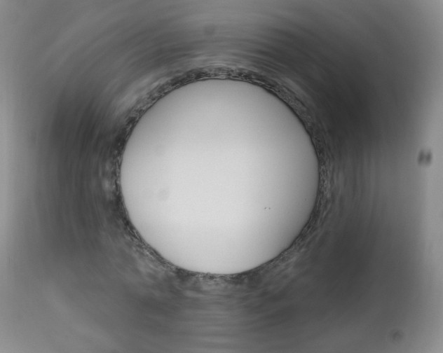 X0000113130774200909040932