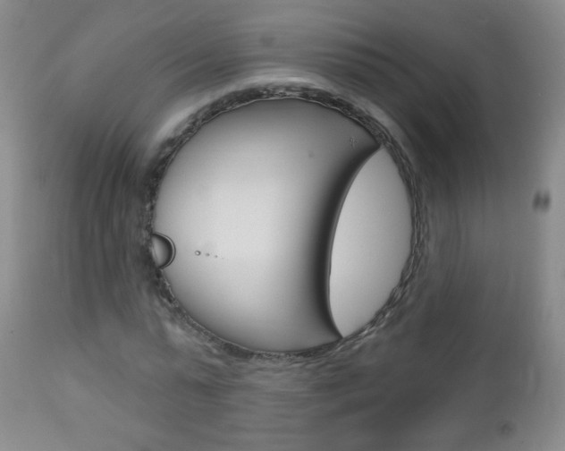 X0000113130775200909040932