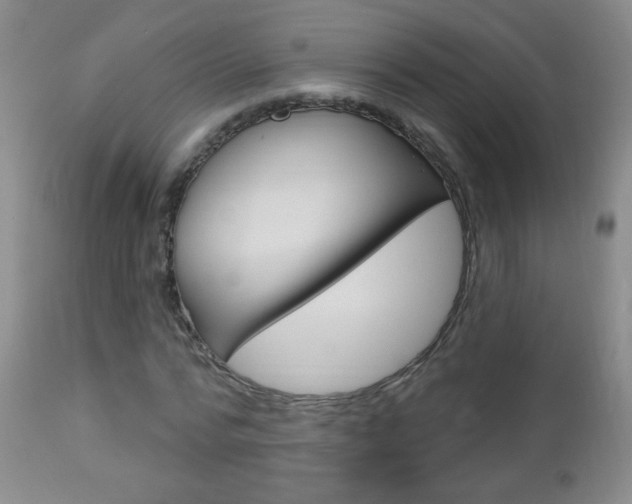X0000113130776200909040932