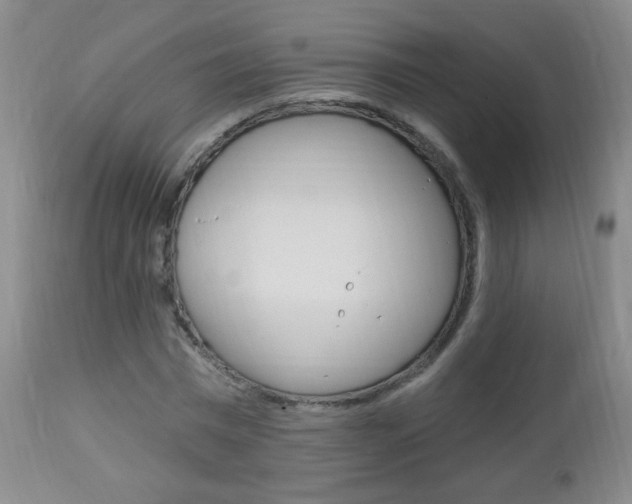 X0000113130777200909040932
