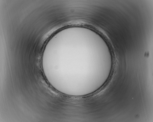 X0000113130778200909040932
