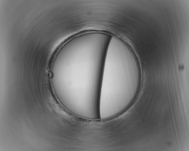 X0000113130779200909040932