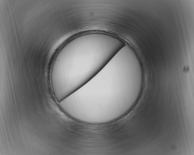 X0000113130780200909040932