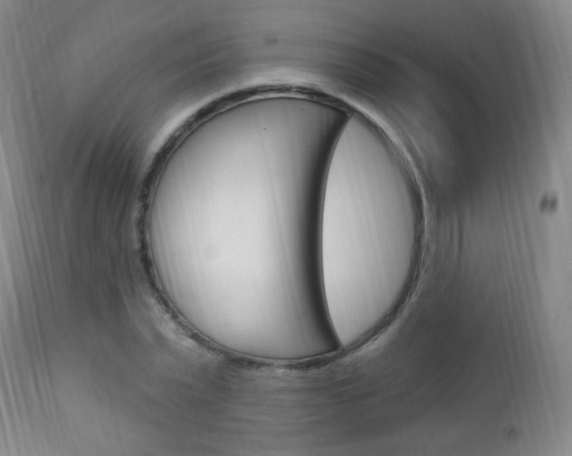 X0000113130783200909040932