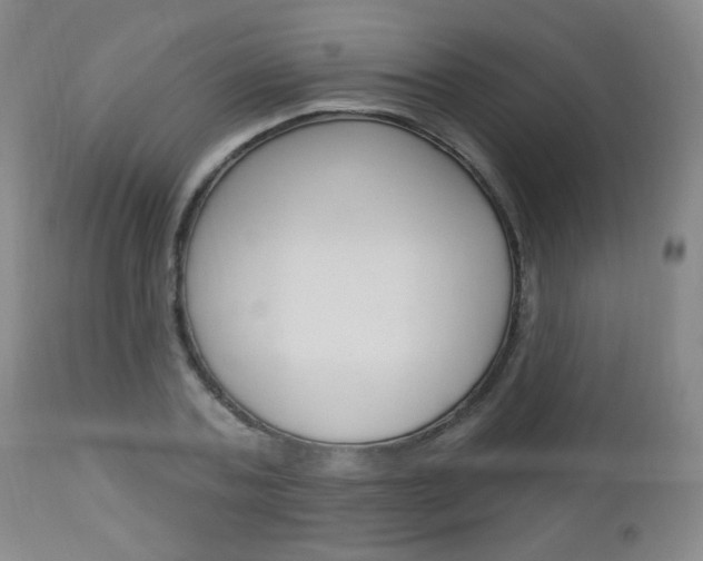 X0000113130787200909040932