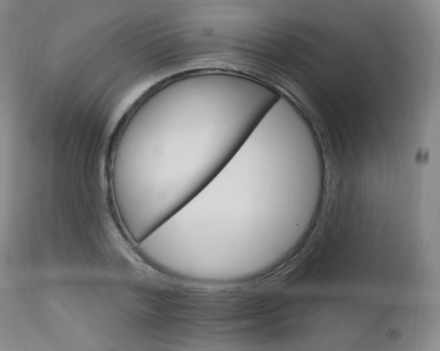 X0000113130788200909040932