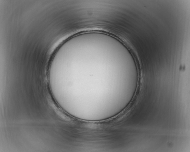 X0000113130789200909040932