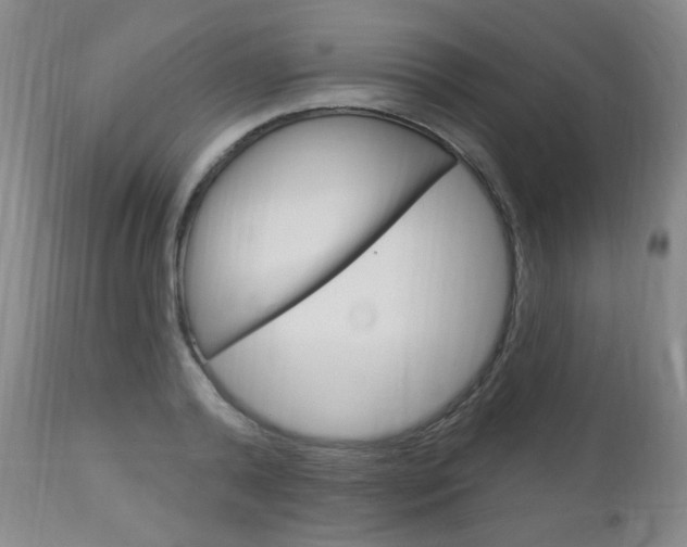 X0000113130792200909040932