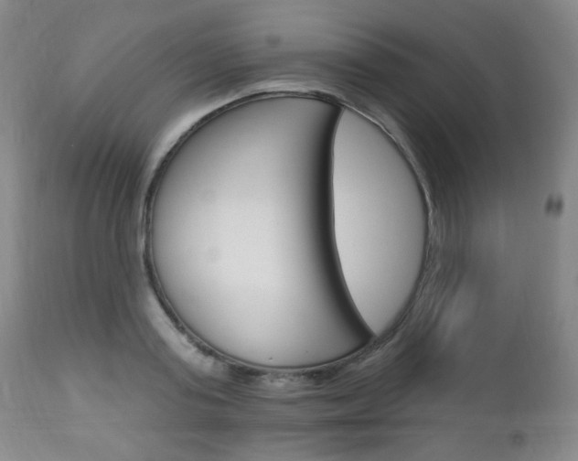 X0000113130795200909040932
