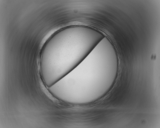 X0000113130796200909040932