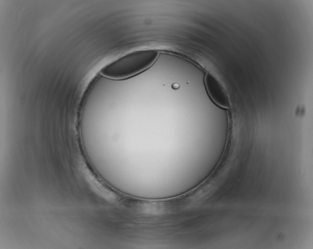 X0000113130797200909040932